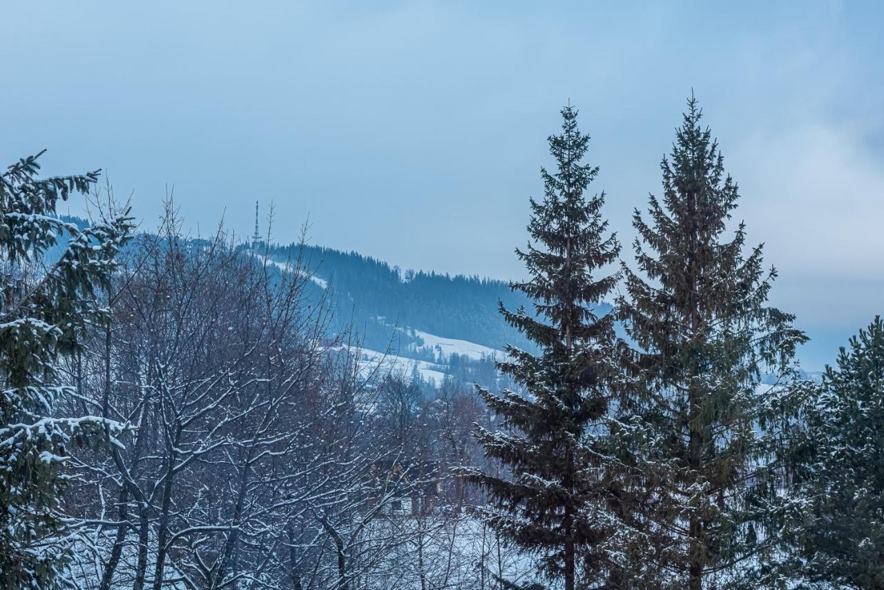 Zakopianskie Widoki Zakopane Eksteriør bilde